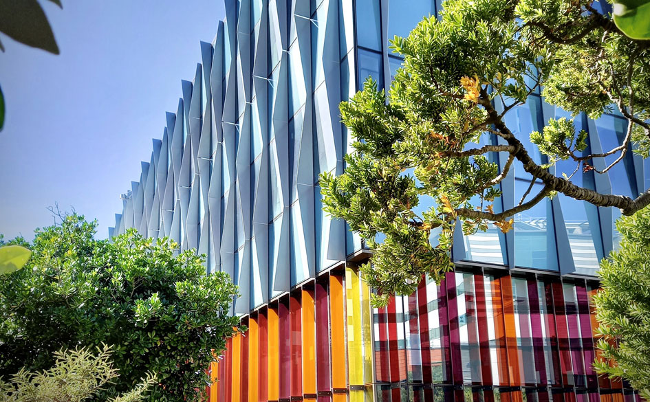 Wellington Children's Hospital 01