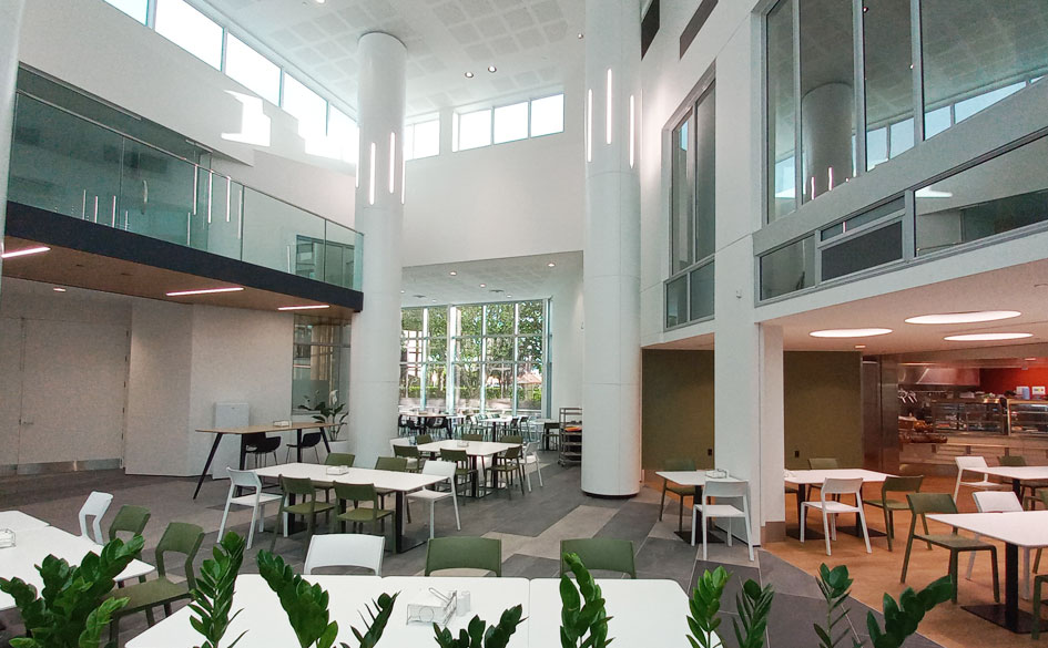 Toyota Palmerston North 09 (1)