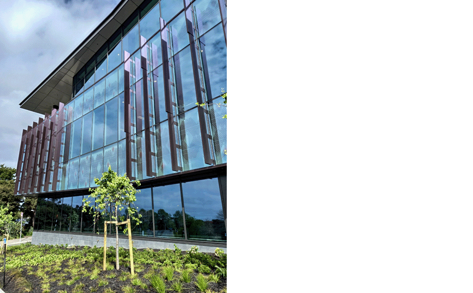 Massey Innovation Albany 02