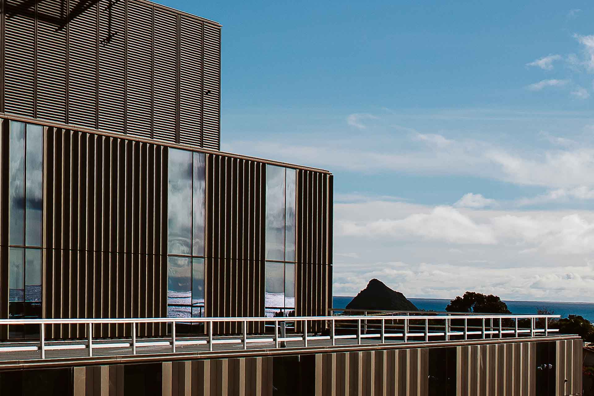 Taranaki Base Hospital East Wing 11 (1)