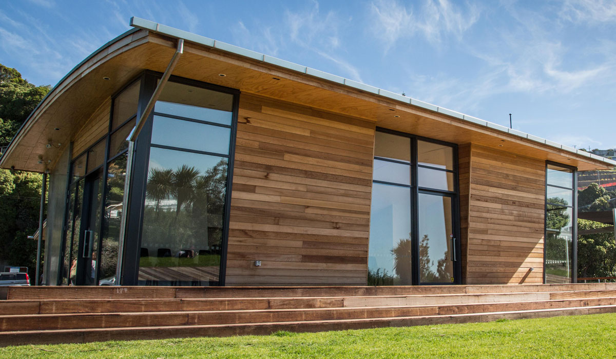 Summer Surf Club Omega. Windows