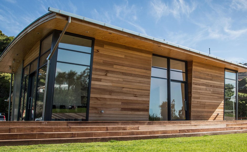 Summer Surf Club Omega. Windows