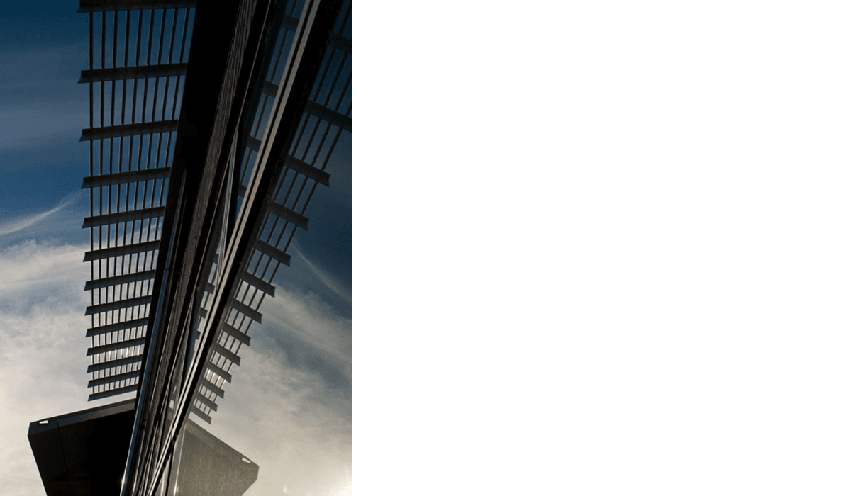 Zealandia Karori 1 06