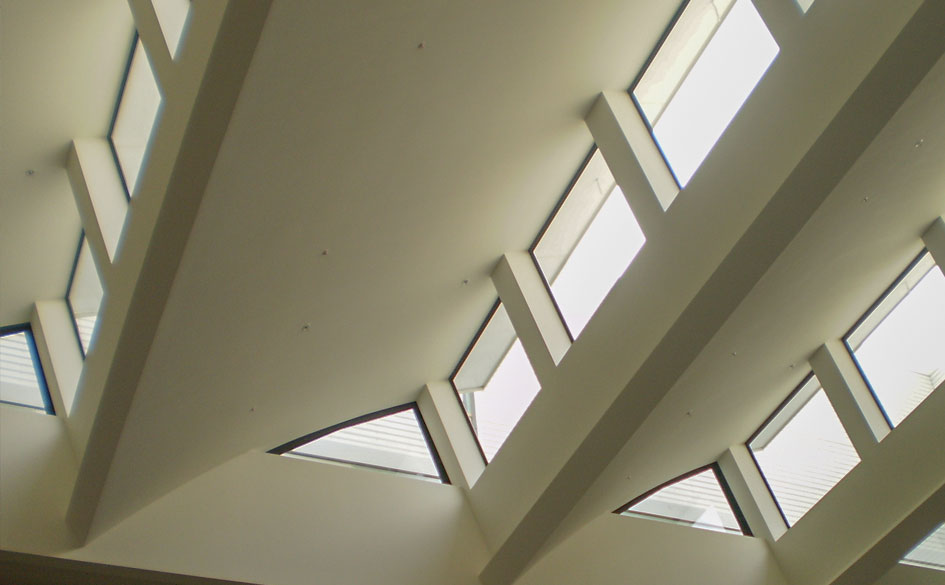 Waikato Hospital ED 02