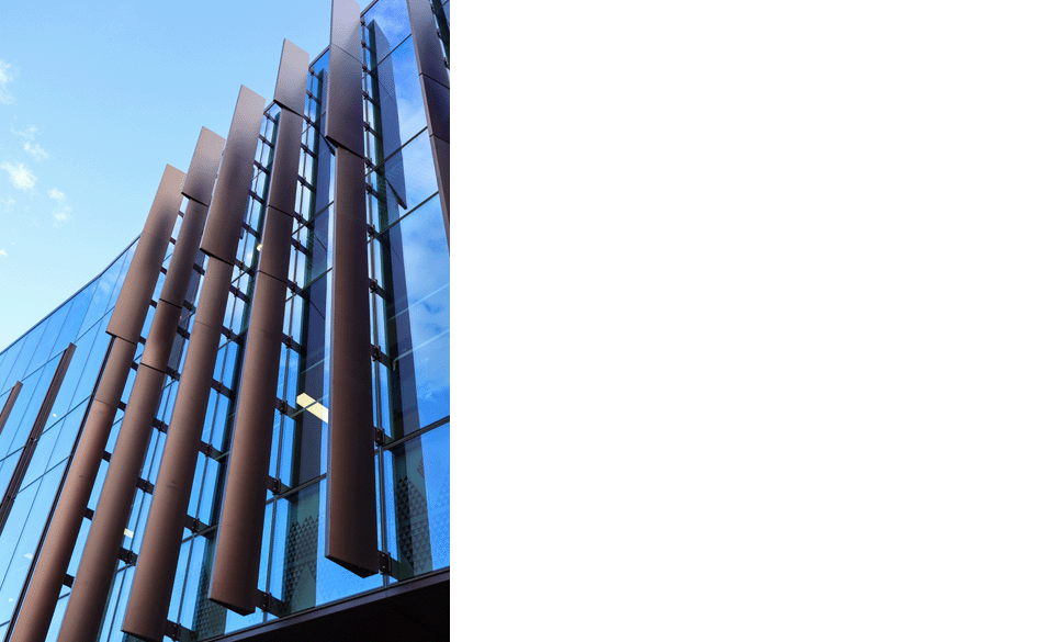 Massey Innovation Albany 005