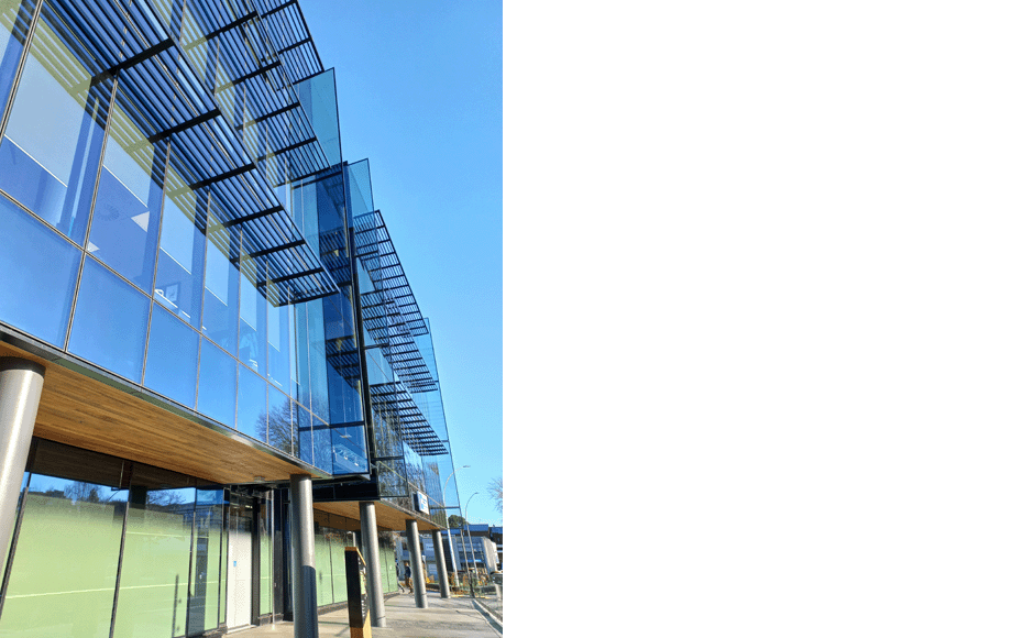 Hauata ACC Hamilton 11