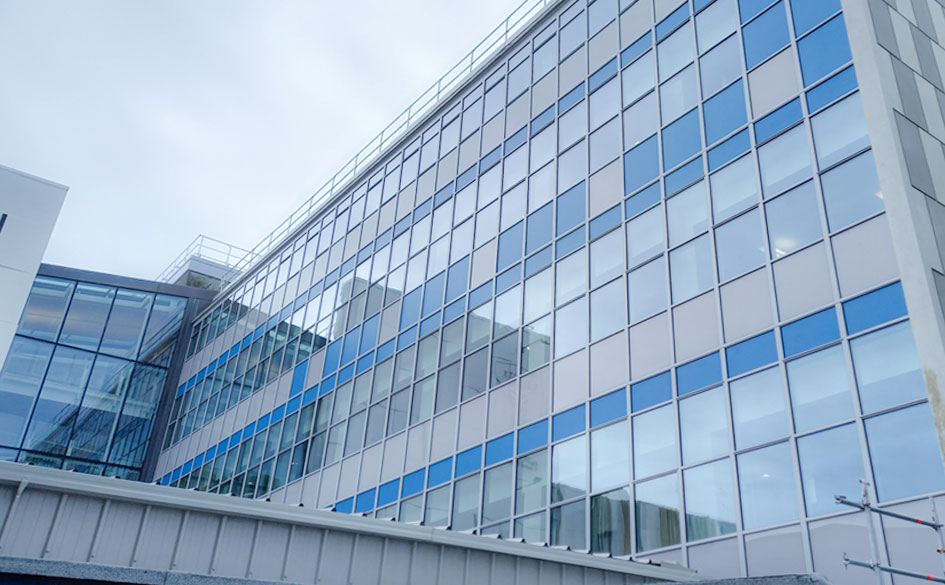 UOO Dental School Walsh 04