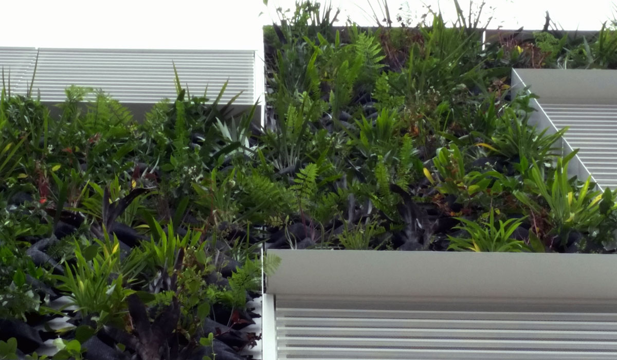 Bledisloe Carpark AKL 01