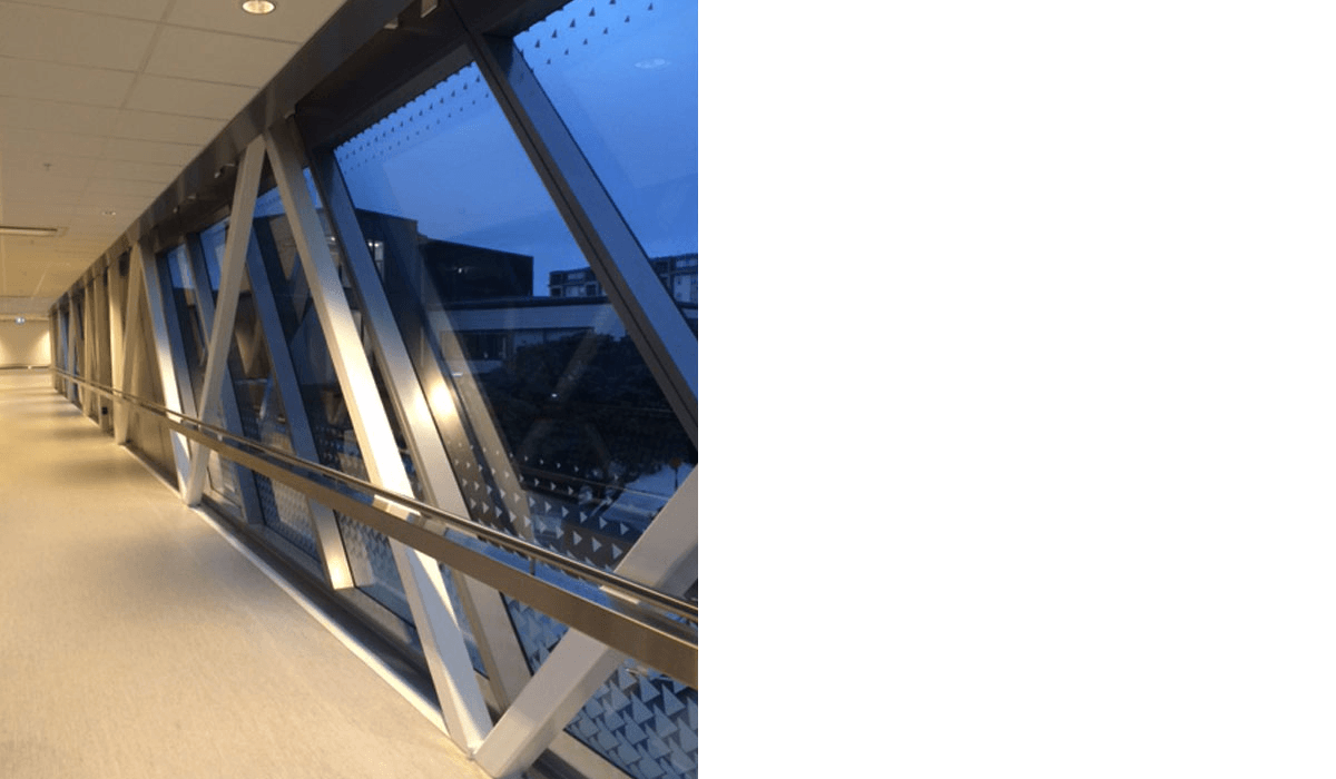North Shore Hospital Linkbridge 1 06