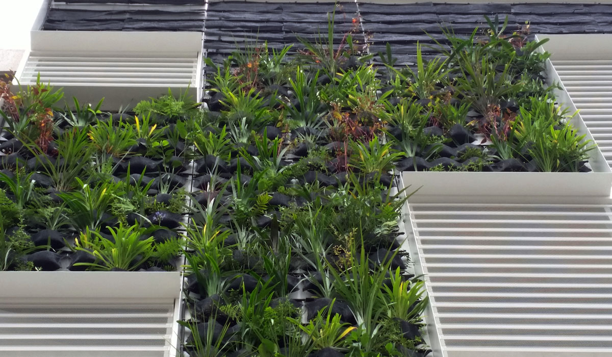 Integrated Green Wall Systems