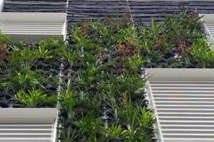 Integrated Green Wall Systems