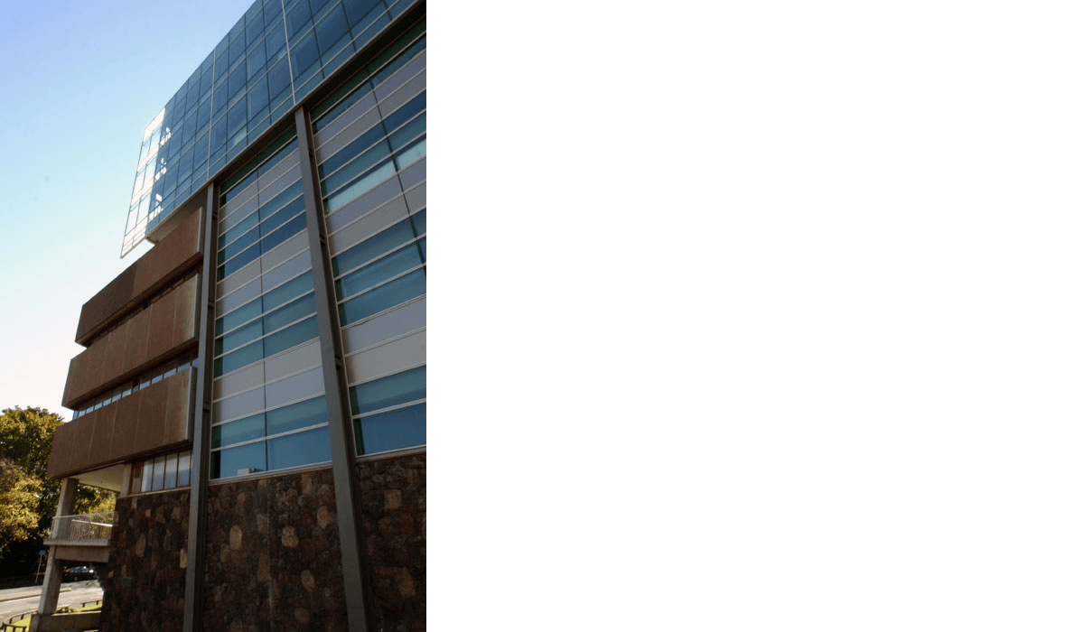 UOA Science 303 1 11