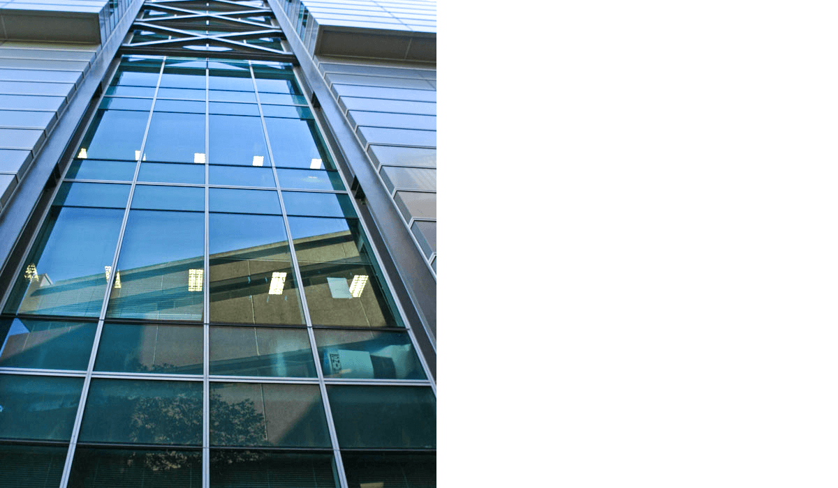 UOA Science 303 1 08