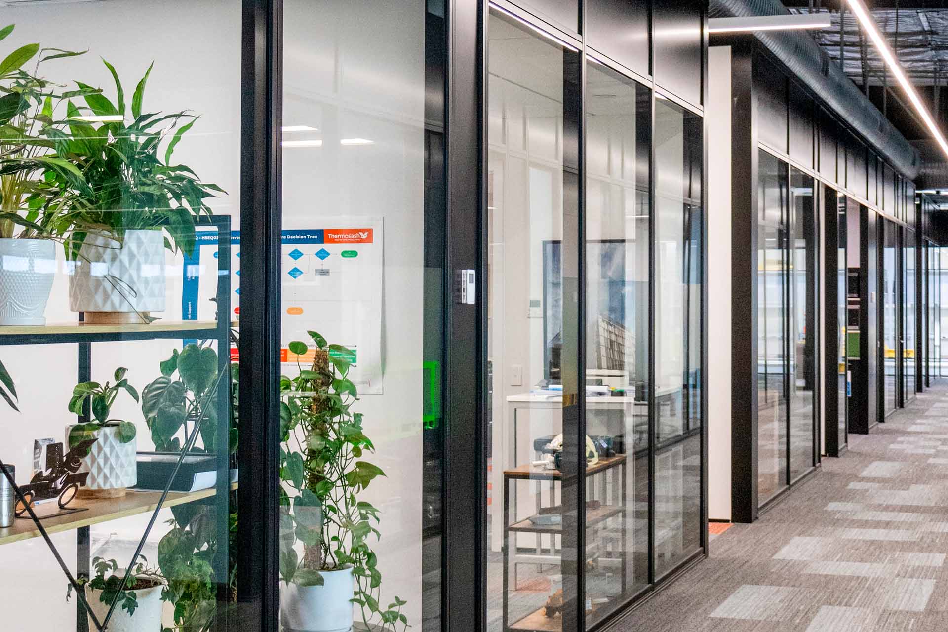 Auckland HQ Internal Offices