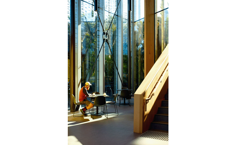 Punakaiki Dolomite 06