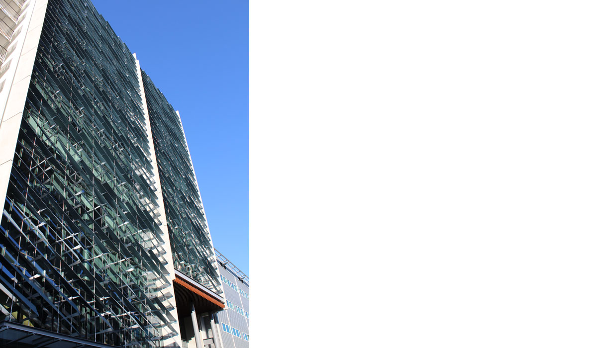 AUT EDT Tension Rope System 03