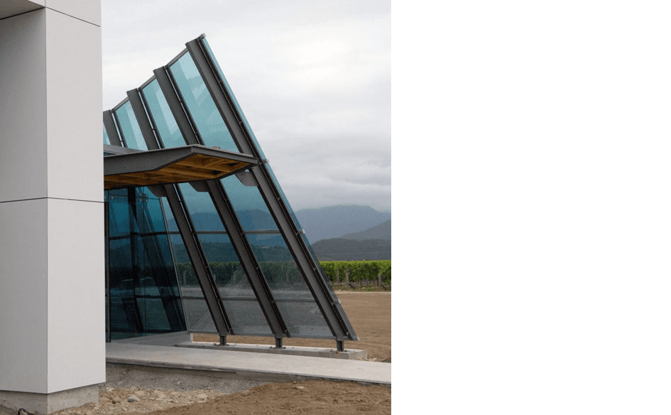 Delegat Vineyard Blenheim 1 07