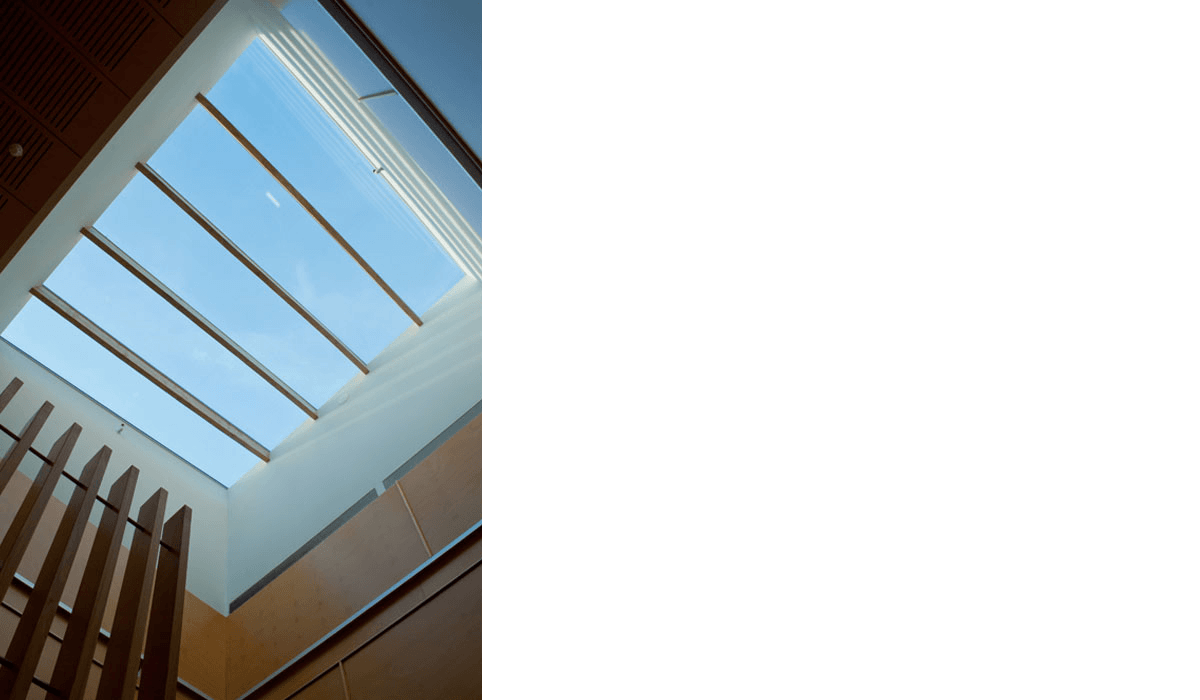 Zealandia Karori 1 08