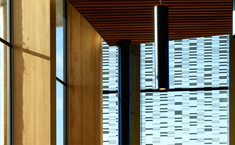 Punakaiki Dolomite 05