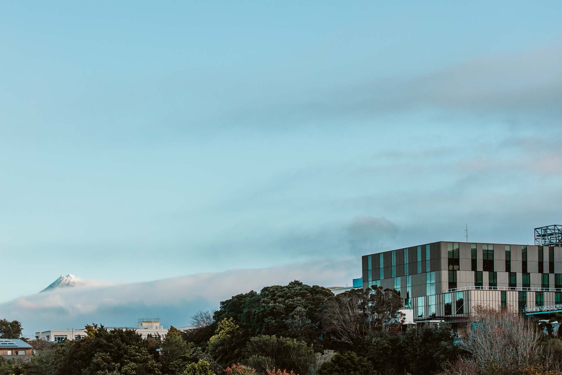 Taranaki Base Hospital East Wing 08