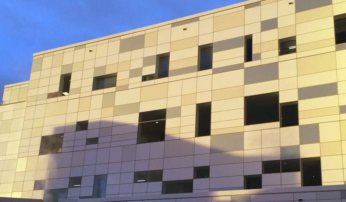 Waikato Hospital 05