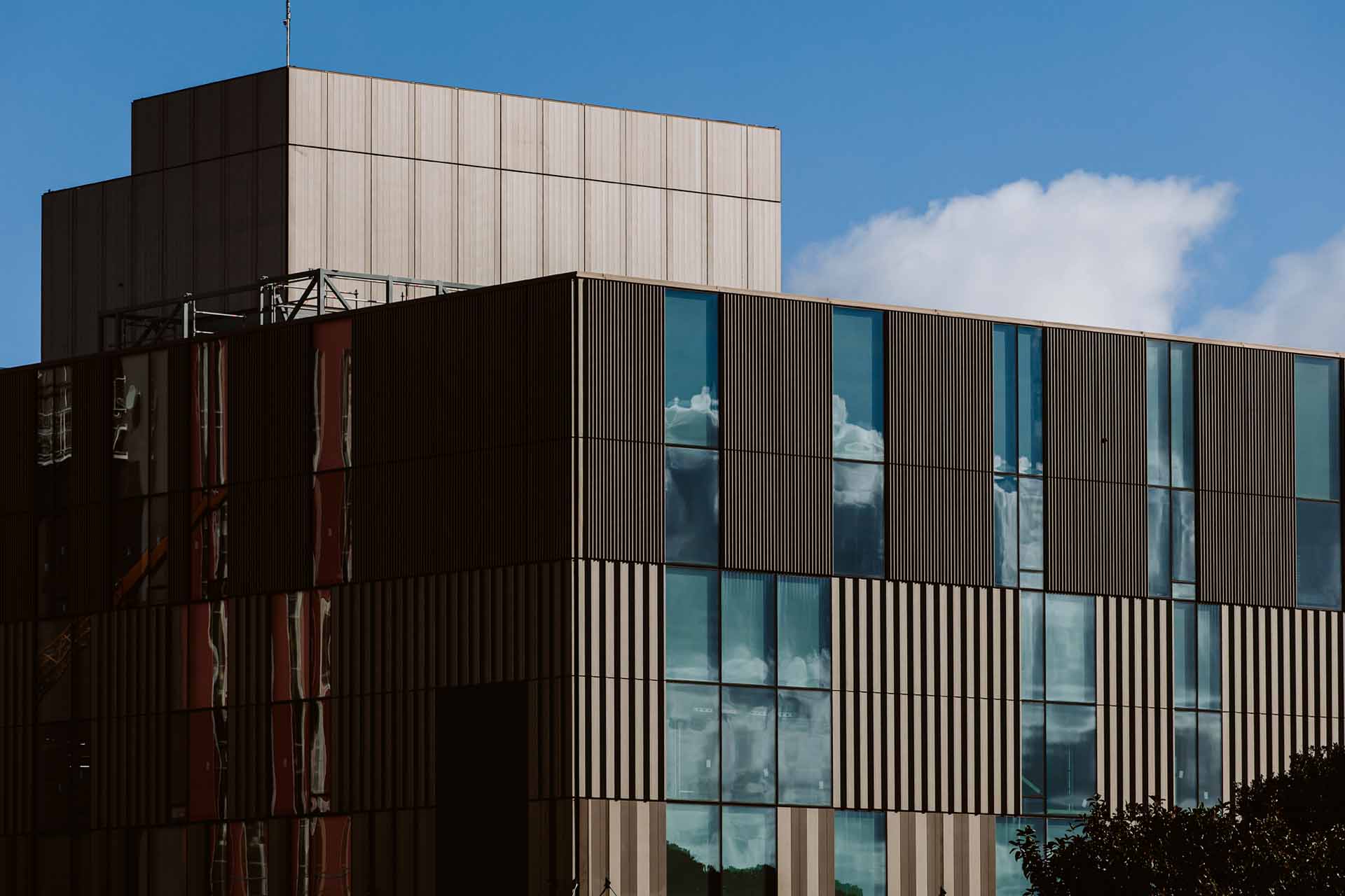 Taranaki Base Hospital East Wing 14 (1)